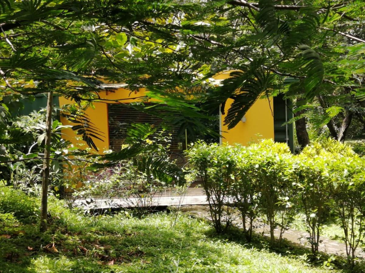 Casa Rural Aroma De Campo Curubande ภายนอก รูปภาพ